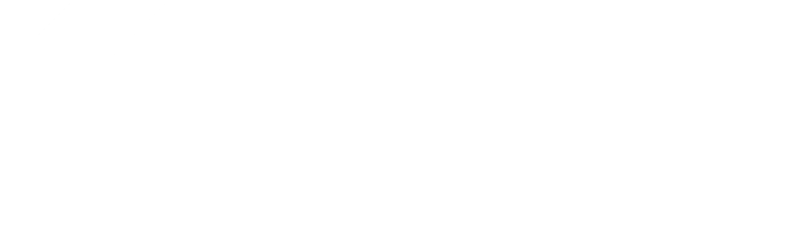 New age Global Logo