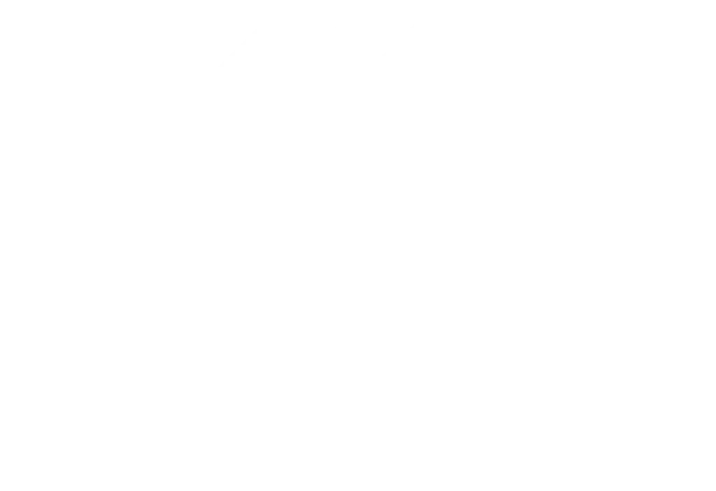 New age Global Logo